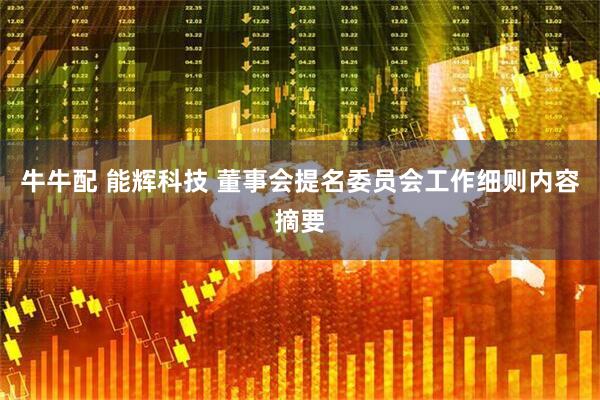 牛牛配 能辉科技 董事会提名委员会工作细则内容摘要