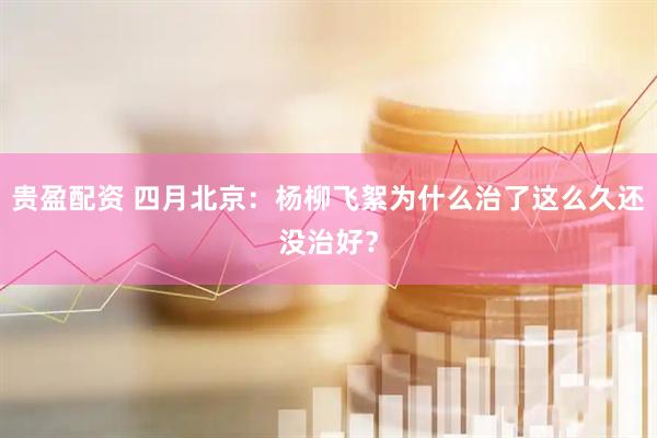 贵盈配资 四月北京：杨柳飞絮为什么治了这么久还没治好？